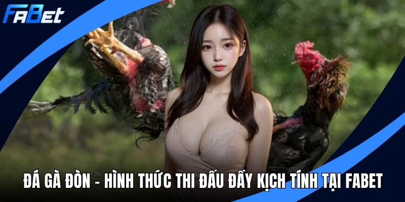 đá gà đòn