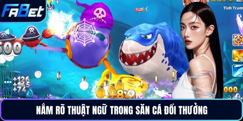 Nắm rõ thuật ngữ trong săn cá đổi thưởng